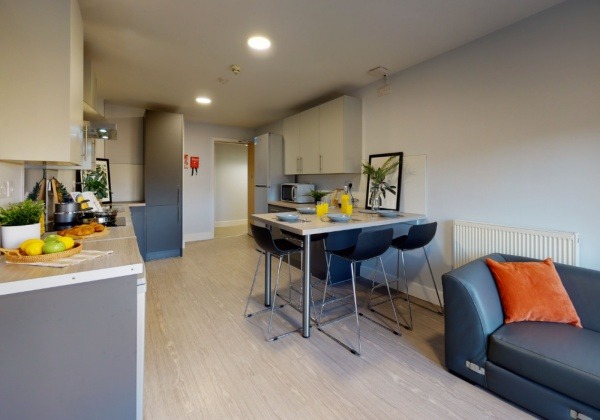 Renewing or ending a student housing lease in London,Affordable student studio flats London