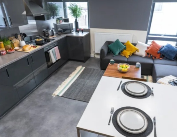 London university campus vs off-campus housing,Budget student apartments London