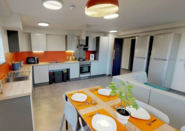 Shared student apartments in London pros and cons,Student studio apartments in London prices