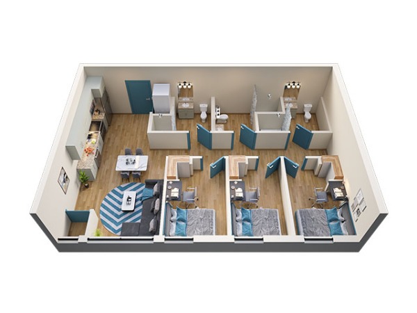 Plymouth university campus vs off-campus housing,Plymouth student accommodation within budget