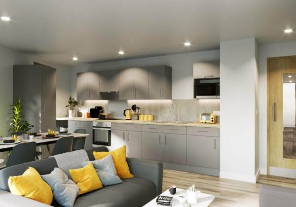 Shared student apartments in London pros and cons,Cost of living for students in London