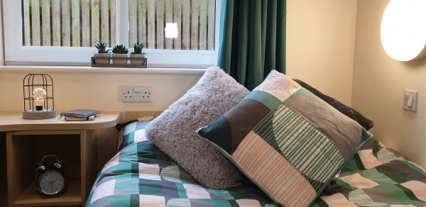 Finding roommates for London student flats,Budget-friendly student hostels in London