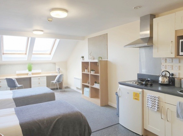 Pros and cons of London student residence halls,Is renting in London safe for students?