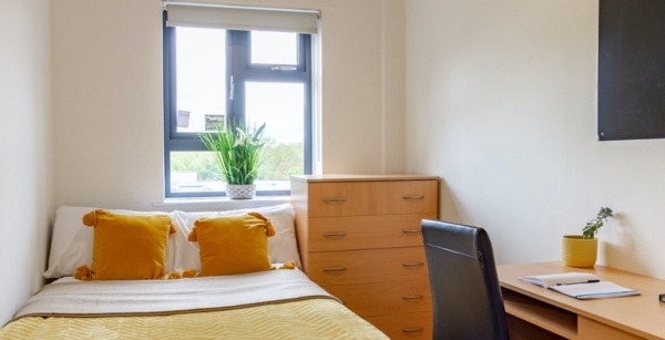 Shared student apartments in Plymouth pros and cons,Plymouth student halls rent prices