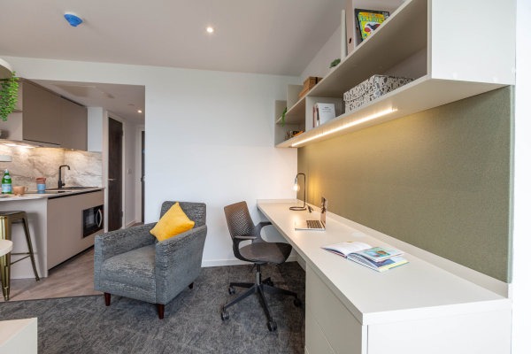 Shared student apartments in Reading pros and cons,Low-cost student flats in Reading