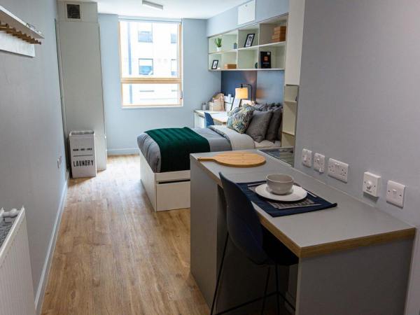 Shared student apartments in London pros and cons,Pricing for student flats in central London