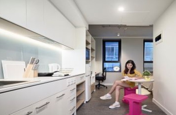 Pros and cons of London student residence halls,Affordable student en-suite London rentals