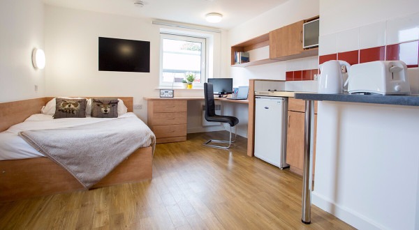 Pros and cons of London student residence halls,Structural quality of London student residences.