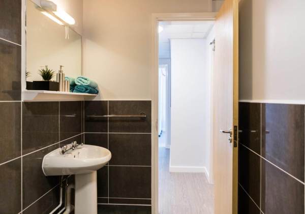 Renewing or ending a student housing lease in London,Pricing for student flats in central London