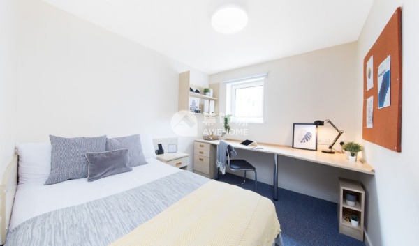 London university campus vs off-campus housing,Best priced student housing in London