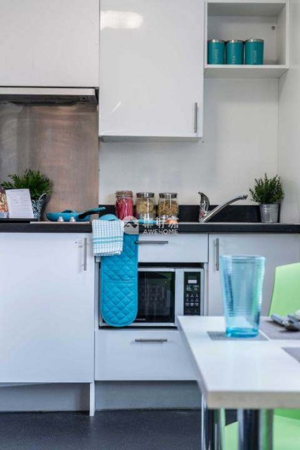 How to rent an apartment in Sydney for students,Affordable student studio flats Sydney