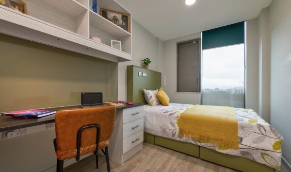 Auckland student accommodation contracts explained,Student shared apartments Auckland pricing