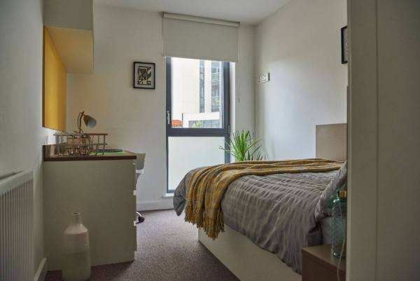 Renewing or ending a student housing lease in London,Affordable student studio flats London