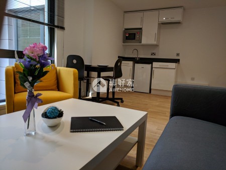 Furnished vs unfurnished student apartments in London,London international student housing prices