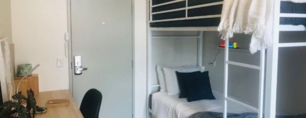 Shared student apartments in Sunshine Coast pros and cons,Cost-effective student residence Sunshine Coast