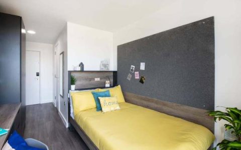 Understanding Sydney's public transport for student areas,Sydney student accommodation price trends