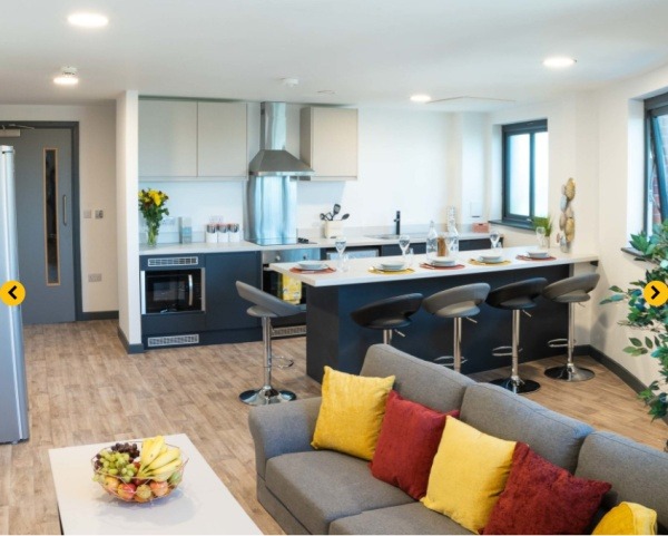 Pros and cons of London student residence halls,Student studio apartments in London prices