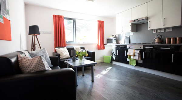 Shared student apartments in London pros and cons,Do London student apartments have air conditioning?