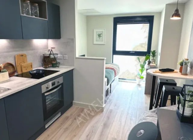 樸茨茅斯租房Stanley Studios  Portsmouth