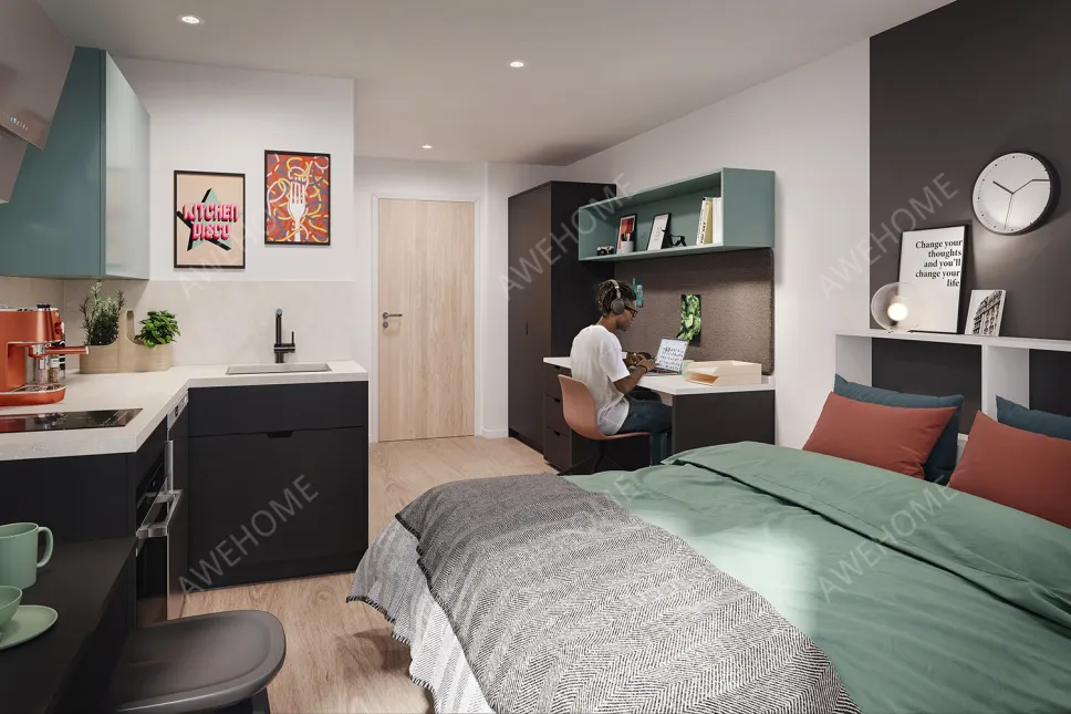 埃塞克斯郡租房Enso - Student Accommodation in Colchester