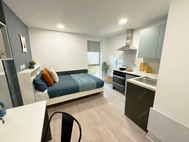 埃塞克斯郡租房Enso - Student Accommodation in Colchester