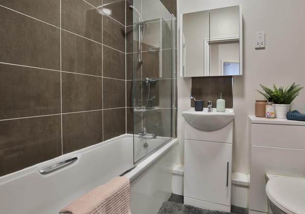 Auckland student apartment deposit refund tips,Auckland student accommodation price trends