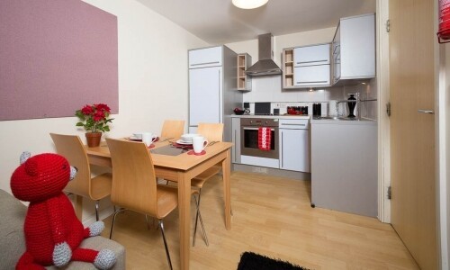 Student studio apartments in Aberystwyth,Discounted student accommodation Aberystwyth