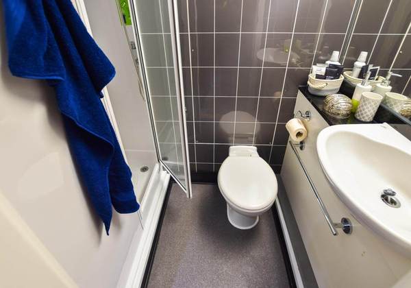 Auckland university campus vs off-campus housing,Price comparison for student flats in Auckland