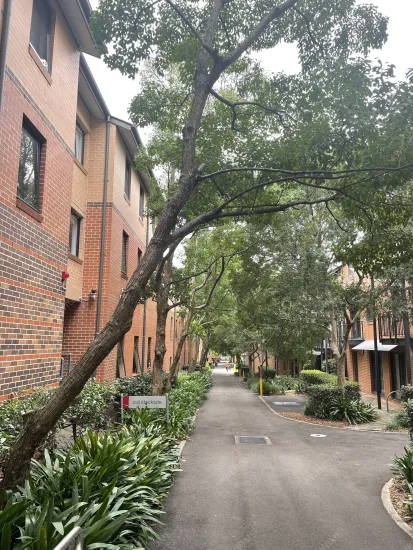 悉尼租房Sydney University Village