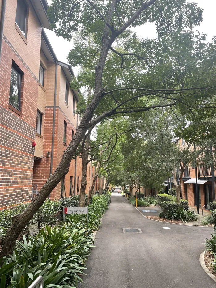 雪梨租房Sydney University Village