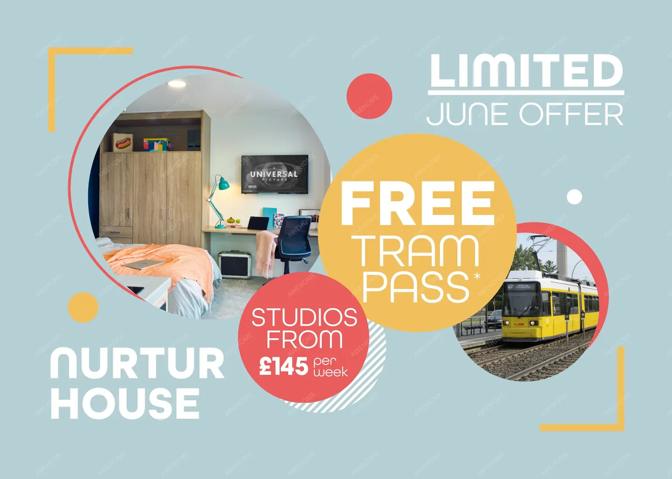 Sheffield RentalsNurtur House Sheffield