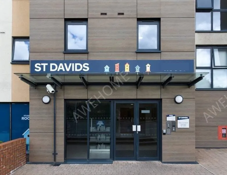 斯旺西租房St Davids
