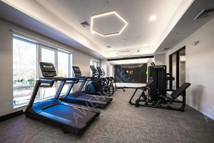 波士顿租房Rozzie 1052