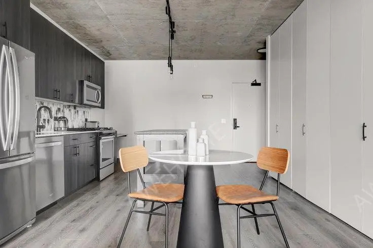 Chicago RentalsThe Mason 487