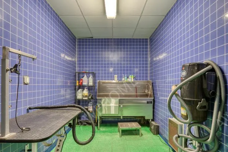 Boston RentalsWest Square 17