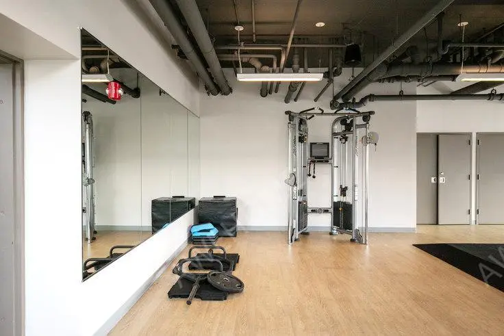 芝加哥租房1000 S Clark 987