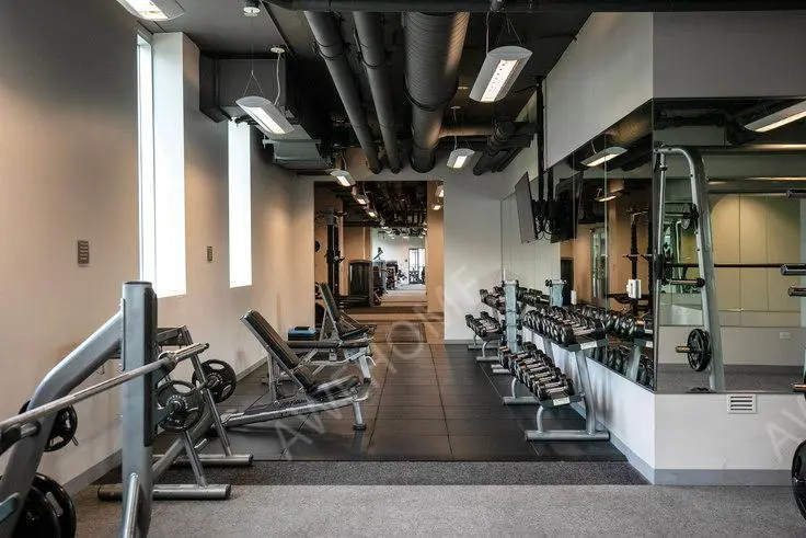 芝加哥租房1000 S Clark 987