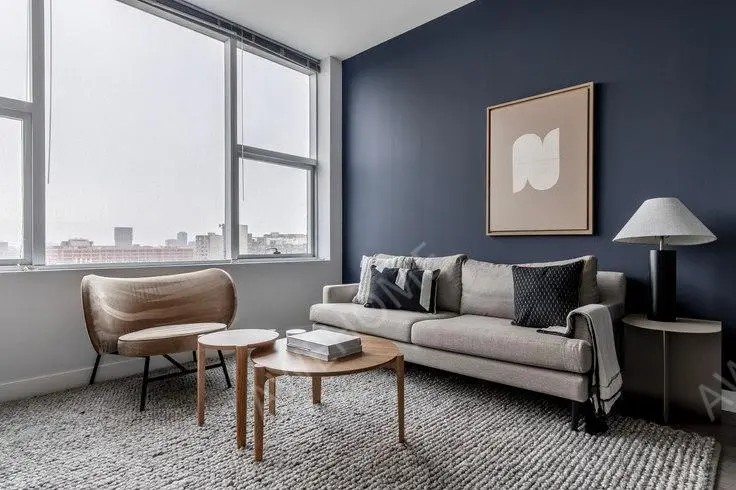 芝加哥租房1000 S Clark St 991