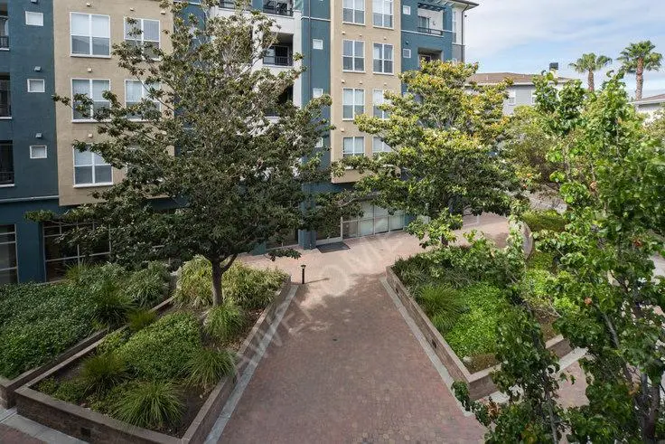 舊金山租房Avalon Silicon Valley 1 1050