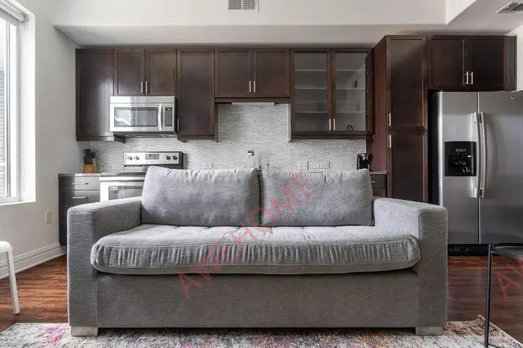 奥斯汀租房Brazos Street 379876P