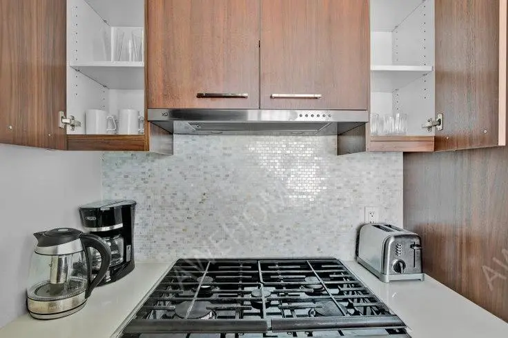 Washington-D-Cshort-term accommodation Rentals[short-term accommodation]One Hill South 307