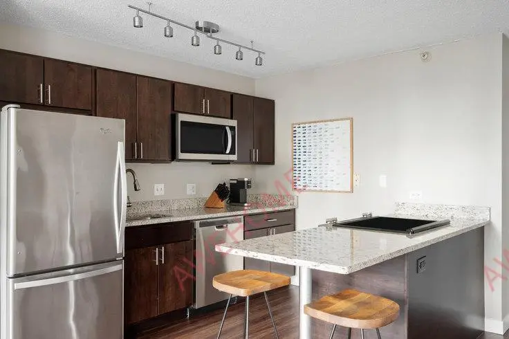 Chicago RentalsSuperior Street 379924P