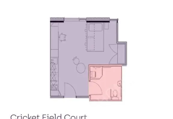 埃克塞特租房Cricket Field Court