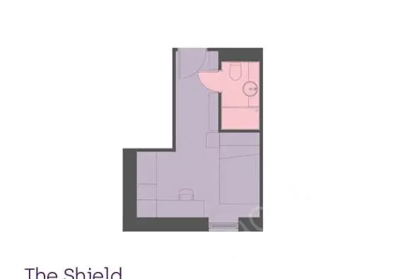 紐卡斯爾租房The Shield