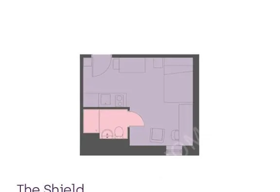 紐卡斯爾租房The Shield