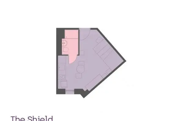 紐卡斯爾租房The Shield