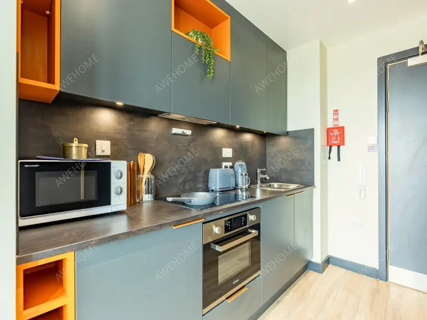 布萊頓租房Crown House Brighton
