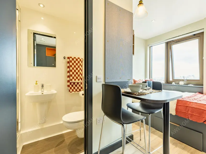 布萊頓租房Crown House Brighton