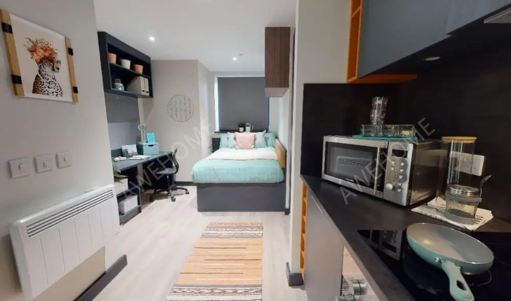 布萊頓租房Crown House Brighton