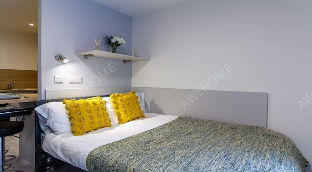 萊斯特租房Dover Street Apartment